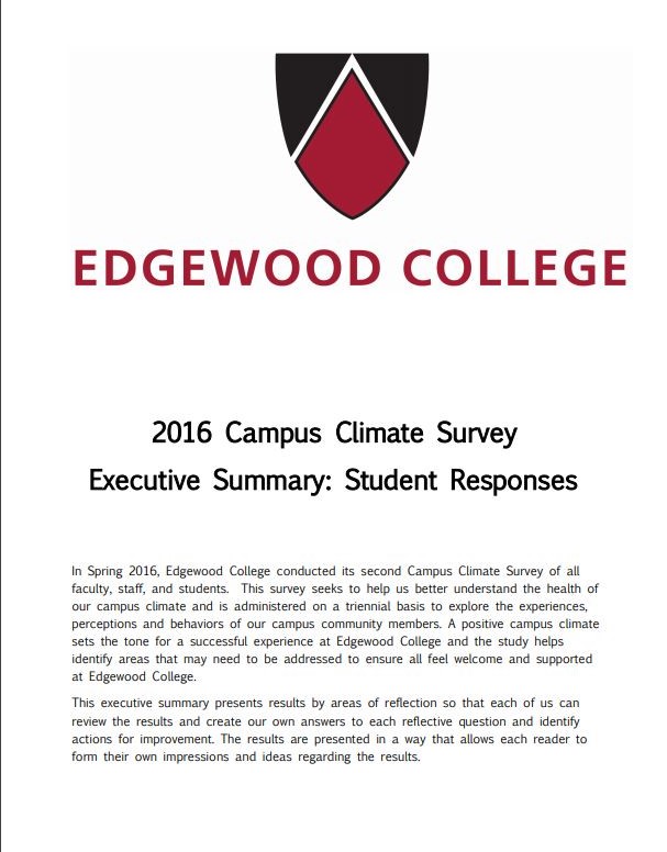 Cover of 2016 Exe Summary Student responses