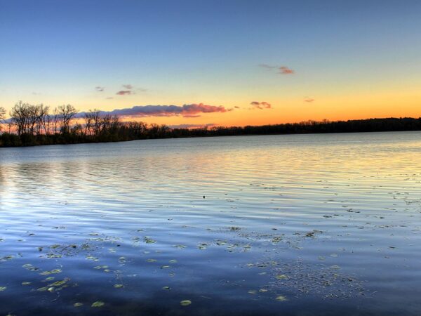 a body of water with trees in the background