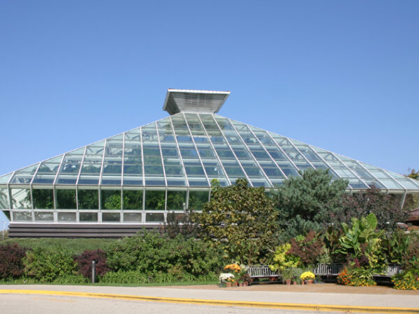 a glass roof of a building