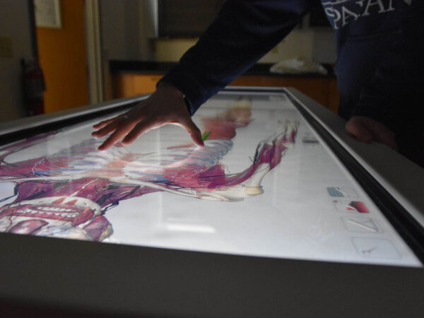 student working on human anatomy diagram on a tablet