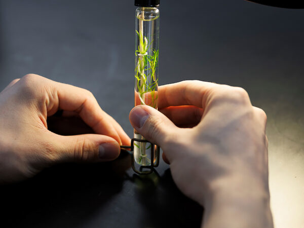 student holding test tube