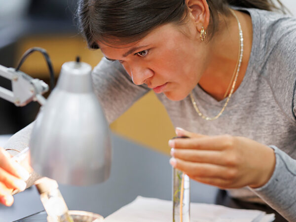 student looking under a microscope