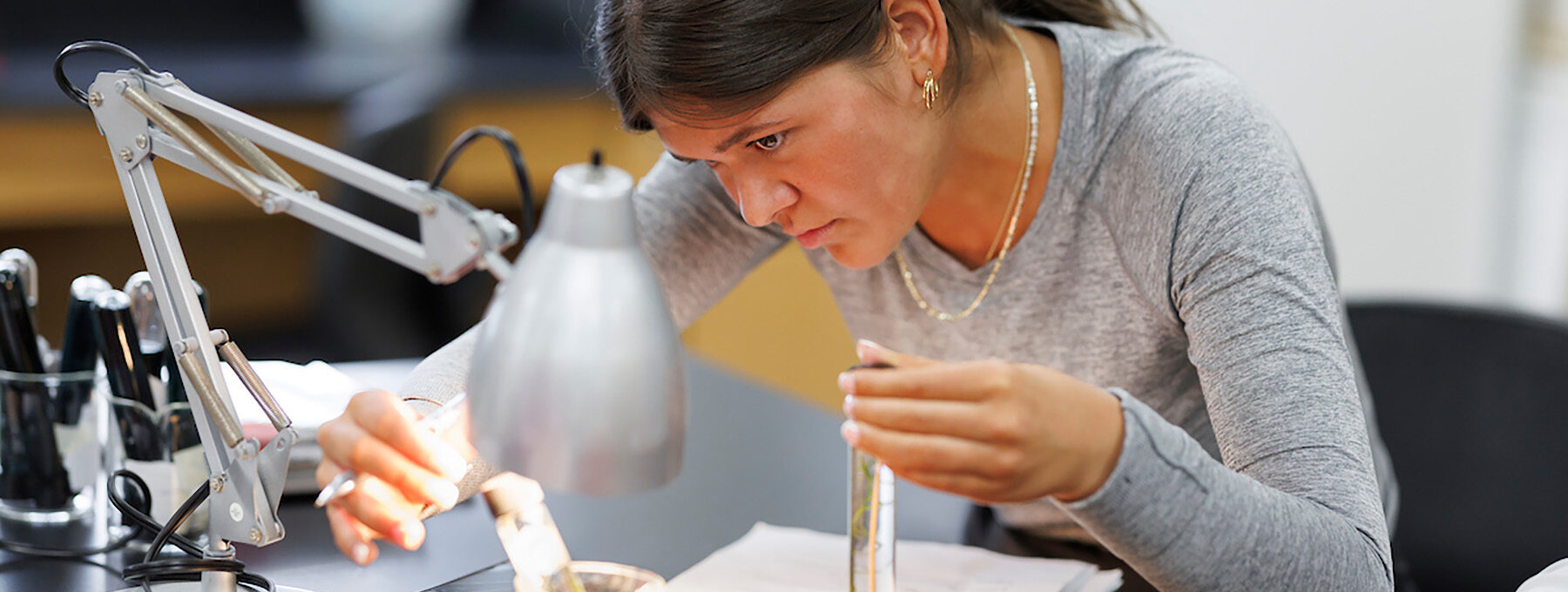 student looking under a microscope