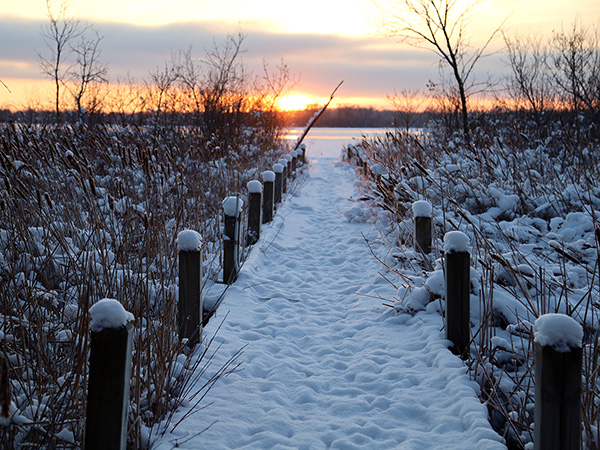 bridge to lake wingra during winter