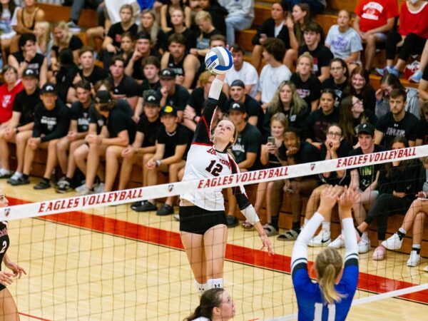 a volleyball player jumping over a net