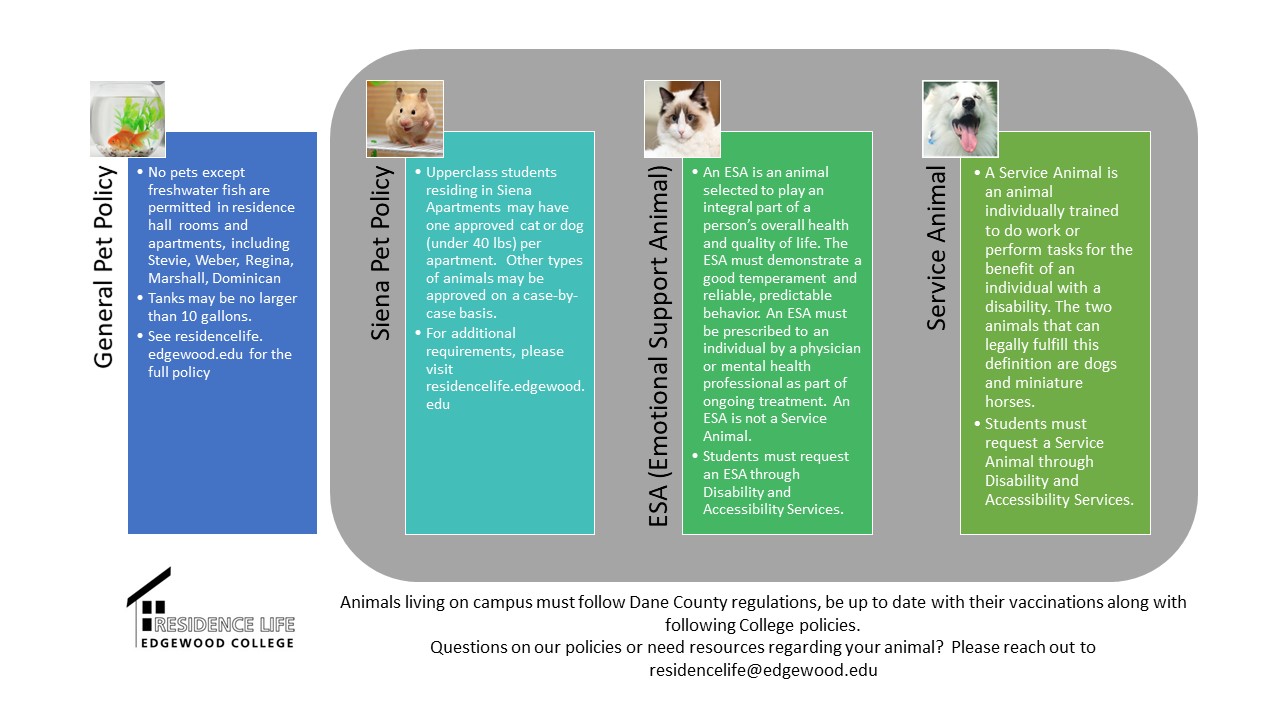 Animals on campus-graphic flowchart