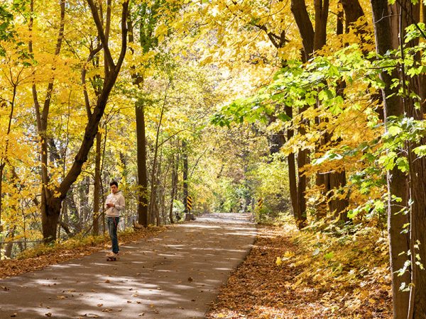 Biking & Hiking Trails